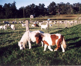 Trudgalong Farm - Accommodation Adelaide 0