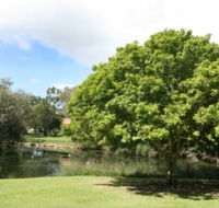 Hervey Bay Botanic Gardens - Accommodation Adelaide