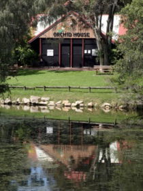 Hervey Bay Botanic Gardens - Accommodation Adelaide 1