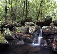 Kangaroo River - Accommodation Adelaide