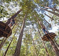 TreeTop Adventure Park Central Coast - Accommodation Adelaide