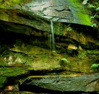 Strickland State Forest - Accommodation Adelaide
