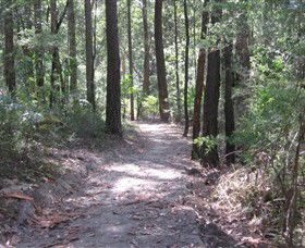 Strickland State Forest - Accommodation Adelaide 2