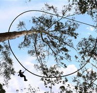 TreeTops Crazy Rider - Accommodation Adelaide