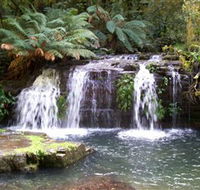 Barrington Tops National Park Walks - Accommodation Adelaide