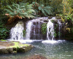 Barrington Tops National Park Walks - Accommodation Adelaide 0