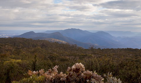 Budawang National Park - Accommodation Adelaide 1