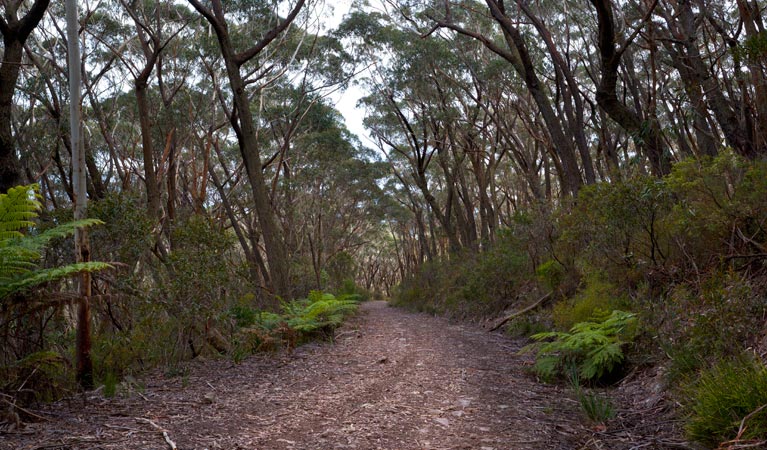 Yadboro NSW Accommodation Adelaide