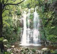 Budderoo National Park - The Falls Walk - Accommodation Adelaide