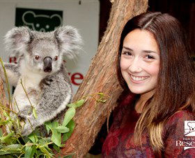 Blackbutt Reserve - Accommodation Adelaide 0