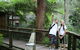 Blackbutt Reserve - thumb 1