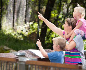 Blackbutt Reserve - Accommodation Adelaide 4