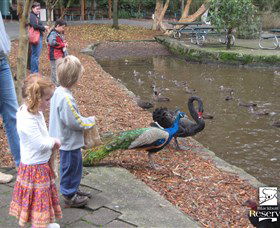 Blackbutt Reserve - Accommodation Adelaide 5