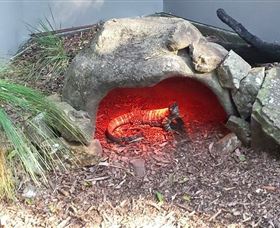 Blackbutt Reserve - Accommodation Adelaide 8
