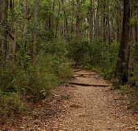 Pigeon House Mountain Didthul walking track - Accommodation Adelaide