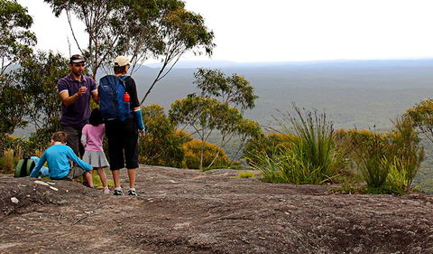 Pigeon House Mountain Didthul Walking Track - Accommodation Adelaide 2