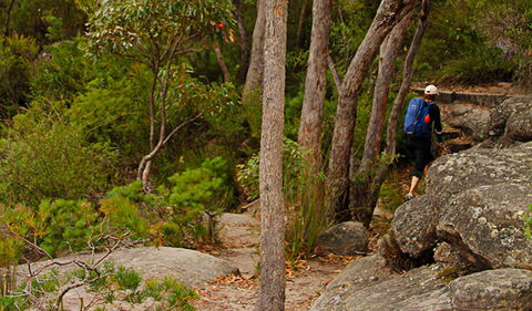 Pigeon House Mountain Didthul Walking Track - Accommodation Adelaide 3