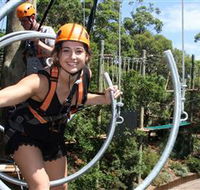 Wild Ropes at Taronga Zoo - Accommodation Adelaide