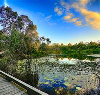 Berrinba Wetlands - Accommodation Adelaide