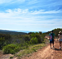 Moonee Beach trail - Accommodation Adelaide