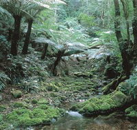 The Corn Trail Walk - Accommodation Adelaide