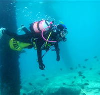 Shellharbour Scuba  Photography Centre - Accommodation Adelaide