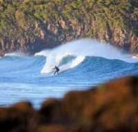 Killalea Beach - Accommodation Adelaide