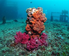 HMAS Brisbane Dive Site - Accommodation Adelaide 0