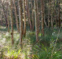 Anabranch loop track - Accommodation Adelaide