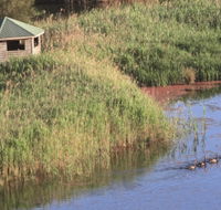 Spring Creek Bird Hide - Accommodation Adelaide