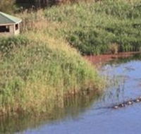 Spring Creek Wetlands Walk - Accommodation Adelaide