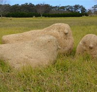 Unreal Rocks Statue Gallery - Accommodation Adelaide