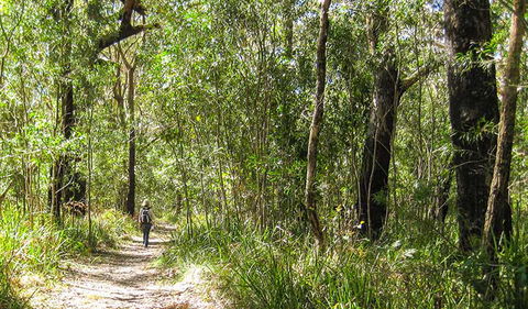 Seven Mile Beach National Park - Accommodation Adelaide 2
