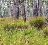Narrawallee Inlet walking track - Accommodation Adelaide