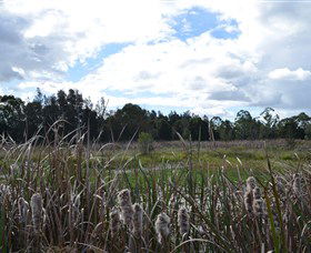 Jabiru Geenbeebeinga Wetlands - Accommodation Adelaide 1