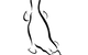 Platypus Gallery - thumb 0