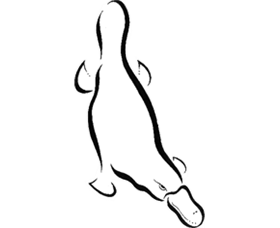 Platypus Gallery - Accommodation Adelaide 0