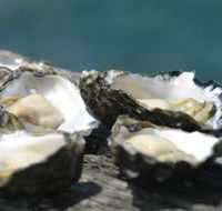 Jim Wilds Oyster Service - Accommodation Adelaide