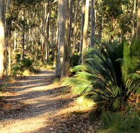 Square Head track 2 - Accommodation Adelaide
