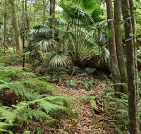 Durras Lake Discovery trail - Accommodation Adelaide