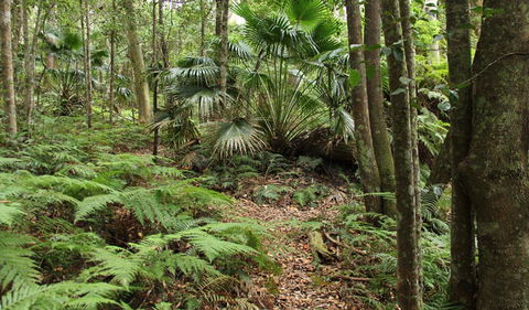 Durras Lake Discovery Trail - Accommodation Adelaide 0