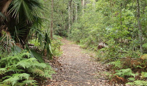 Durras Lake Discovery Trail - Accommodation Adelaide 1