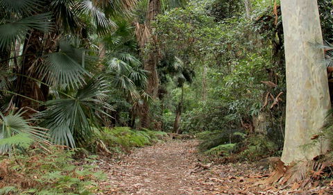 Durras Lake Discovery Trail - Accommodation Adelaide 2