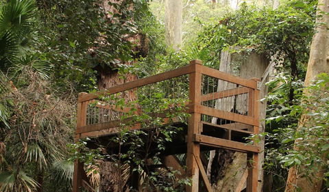 Durras Lake Discovery Trail - Accommodation Adelaide 3
