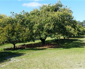 The Avocado Farm - Accommodation Adelaide 1