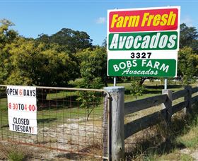 The Avocado Farm - Accommodation Adelaide 3