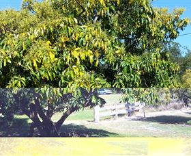 The Avocado Farm - Accommodation Adelaide 2