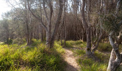 Murramarang Aboriginal Area Walking Track - Accommodation Adelaide 1