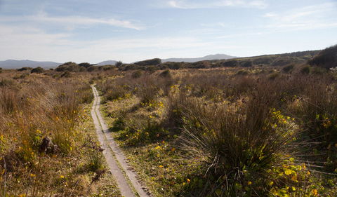 Murramarang Aboriginal Area Walking Track - Accommodation Adelaide 2