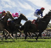 Moruya Racecourse - Accommodation Adelaide